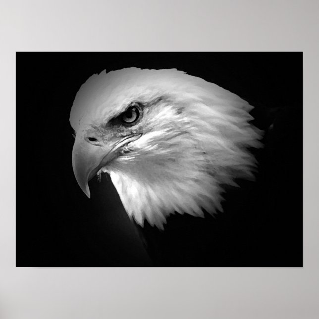 Poster de l'aigle à tête blanche BW American Impri (Devant)
