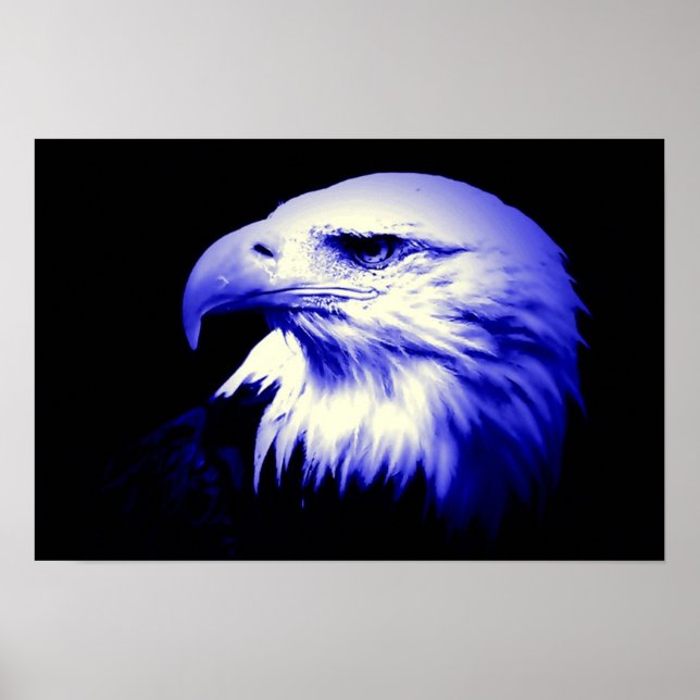 Poster de l'aigle américain Bald Eagle (Devant)
