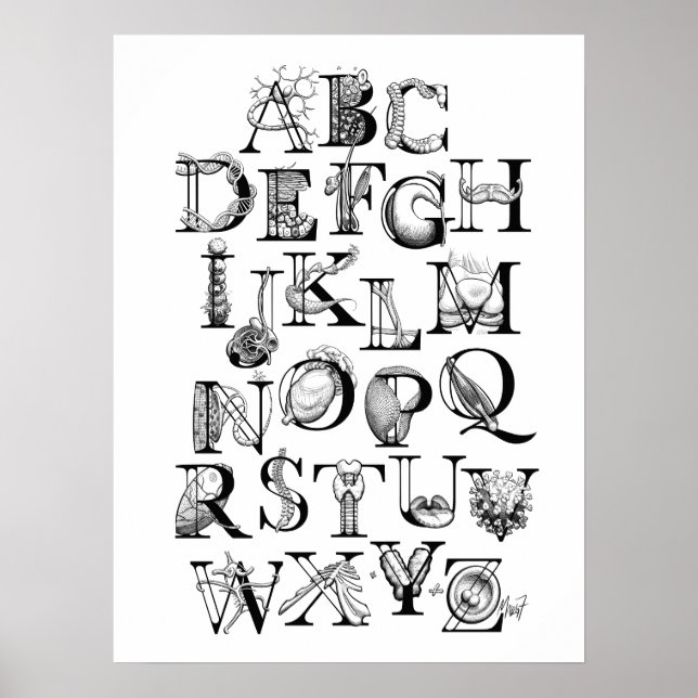 Poster de l'alphabet de biologie (18x24) (Devant)
