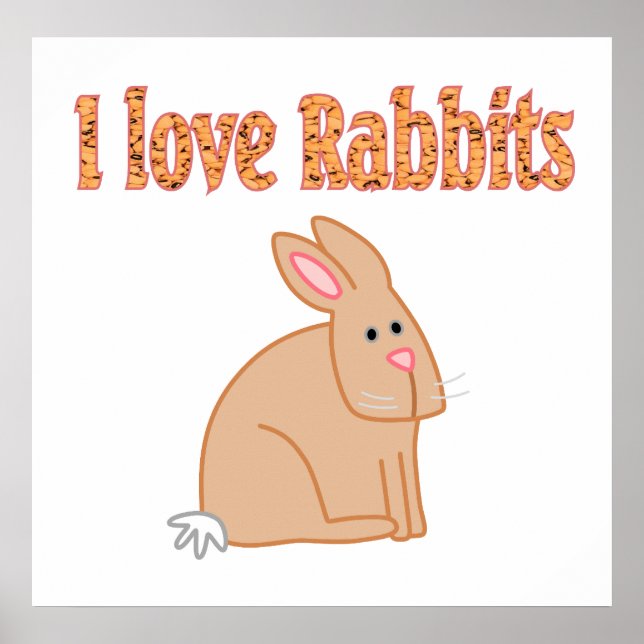 Poster de lapin (Devant)