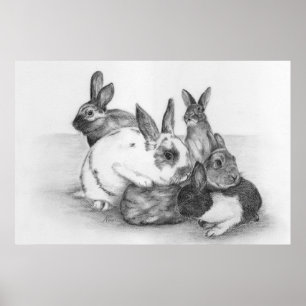 Poster de lapin
