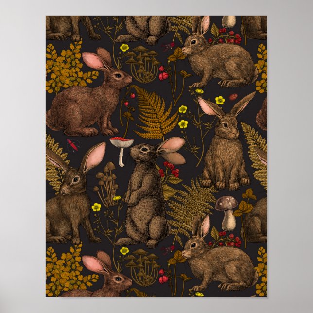 Poster de lapins et de la flore boisée (Devant)