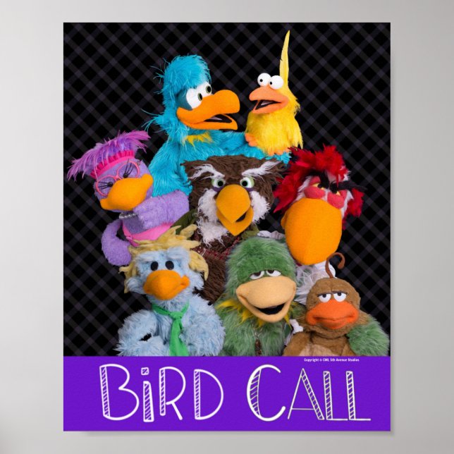 Poster de l'appel d'oiseaux (Devant)