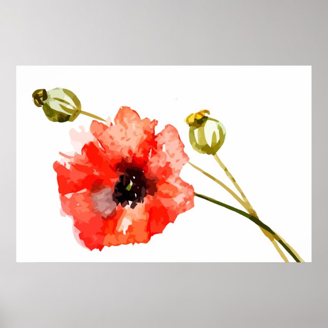 Poster de l'aquarelle de pavot rouge (Devant)