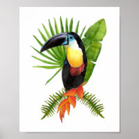 Poster de l'aquarelle d'oiseau tropical Toucan