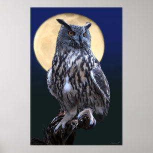 Poster de l'aquarelle Eagle Owl -24x36 -ou plus pe