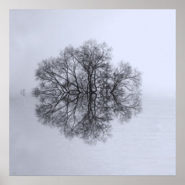 Poster de l'Arbre de réflexion (Devant)