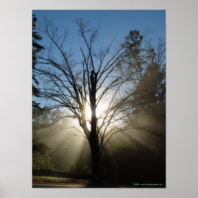 Poster de l'arbre Epiphany (Devant)