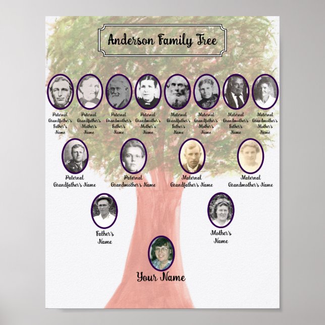 Poster de l'arbre généalogique de la feuille verte (Devant)