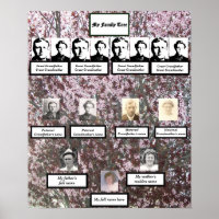 Poster de l'arbre généalogique en fleurs roses de 