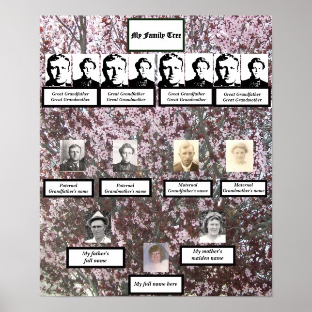 Poster de l'arbre généalogique en fleurs roses de  (Devant)