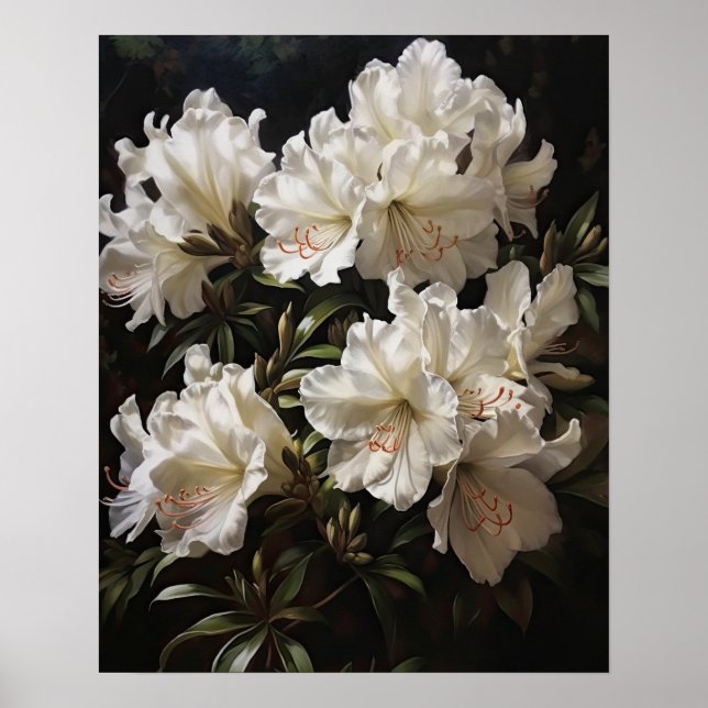 Poster de l'Art blanc Azalea Fleurs (Devant)