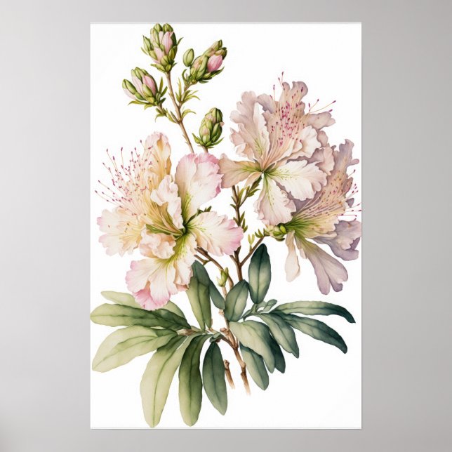 Poster de l'Art blanc Azalea Fleurs (Devant)