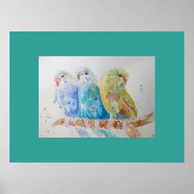 Poster de l'art de l'aquarelle Aqua Budgie (Devant)