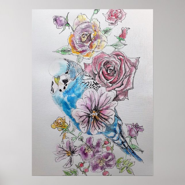 Poster de l'art de l'aquarelle Blue Budgie & Red R (Devant)