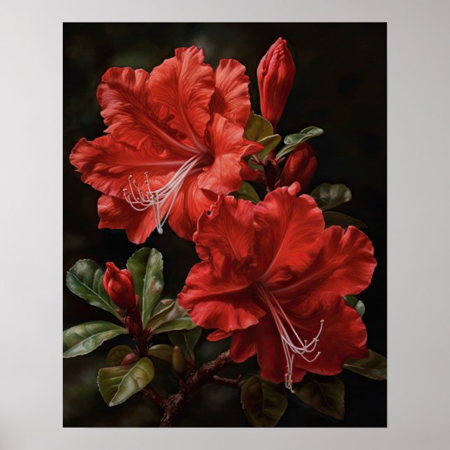 Poster de l'art des fleurs d'Azalea rouge (Devant)