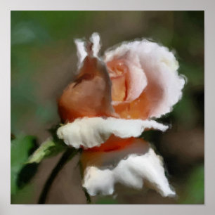 Poster de l'art floral Peach Rosebud
