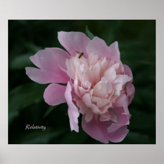 Poster de l'Art Framical Relativité