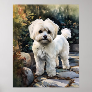 Poster de l'art mignon de chien maltais