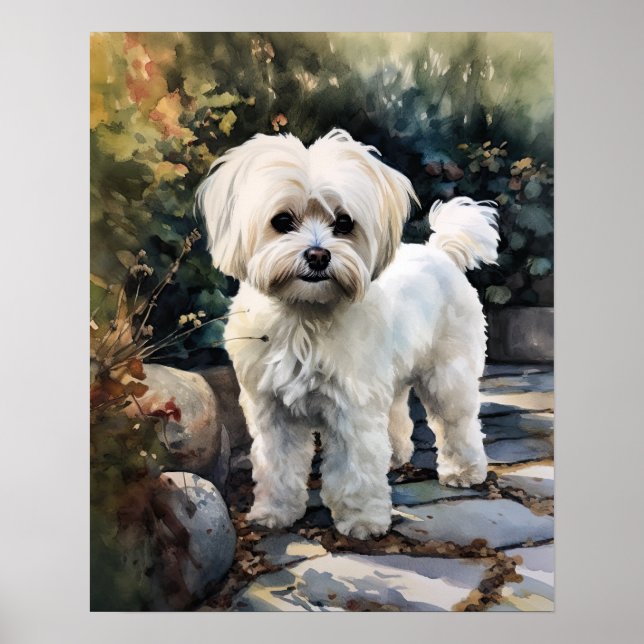 Poster de l'art mignon de chien maltais (Devant)