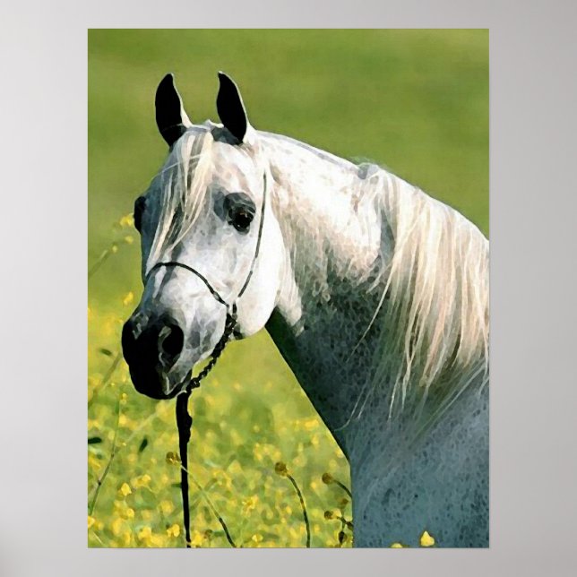 Poster de l'artisanat du cheval (Devant)