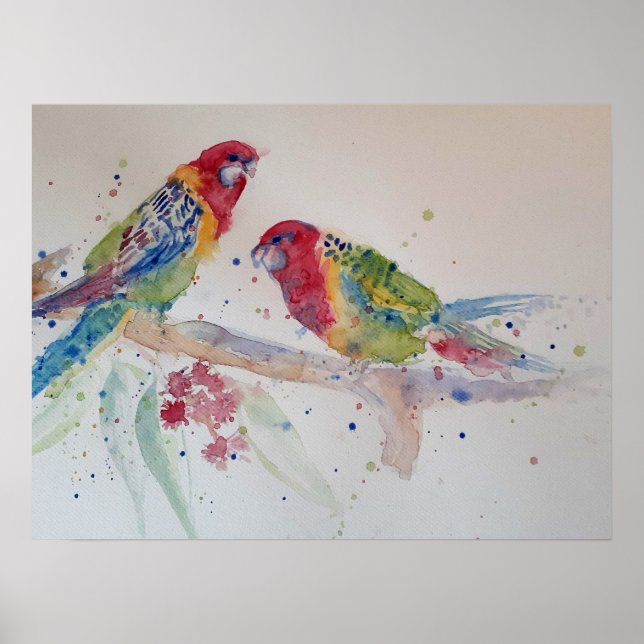 Poster de l'artiste australienne Rosella Parrot Wa (Devant)