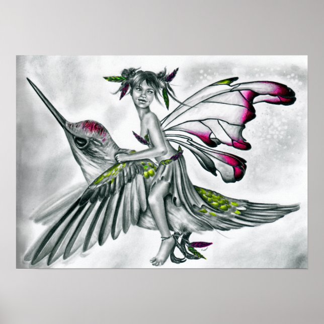 Poster de l'cavalier de colibri (Devant)