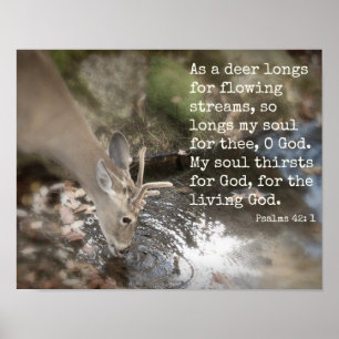 Poster de l'eau vive