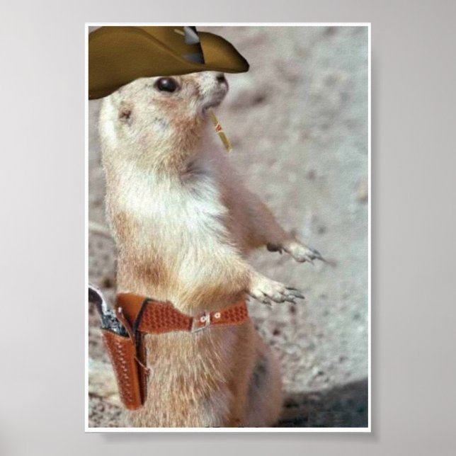 Poster de l'écureuil de gun Slinger (Devant)