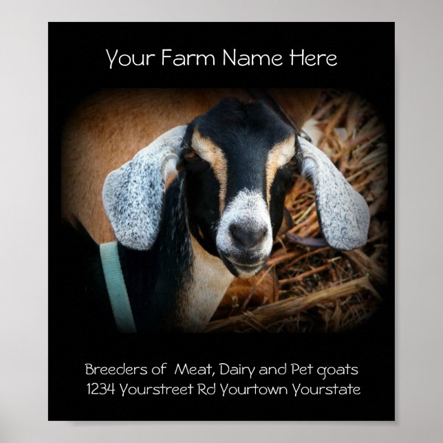 Poster de l'entreprise Goat Breeder (Devant)