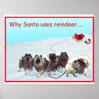 Poster de l'équipe de traîneau