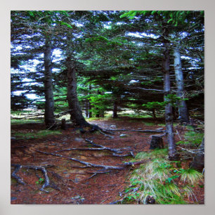 Poster de l'escalier de la nature