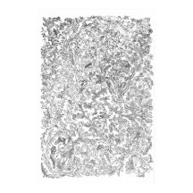 Poster de l'évolution - Arbre de vie - Noir et Bla