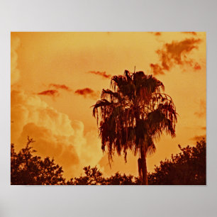 Poster de l'heure d'or Palm Tree