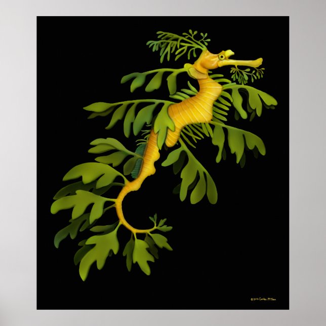 Poster de l'hippocampe Sea Dragon (Devant)
