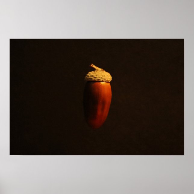 Poster de l'hippodrome de Mighty Oak (Devant)