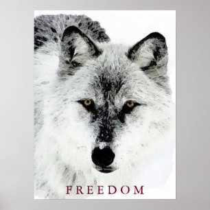 Poster de liberté motivée du loup gris Imprimer