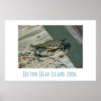 Poster de l'île Hilton Head