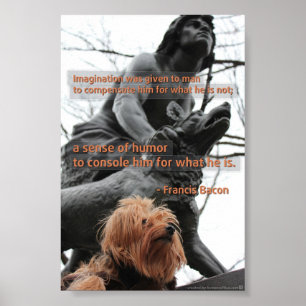 Poster de l'imagination et de la citation d'Humour