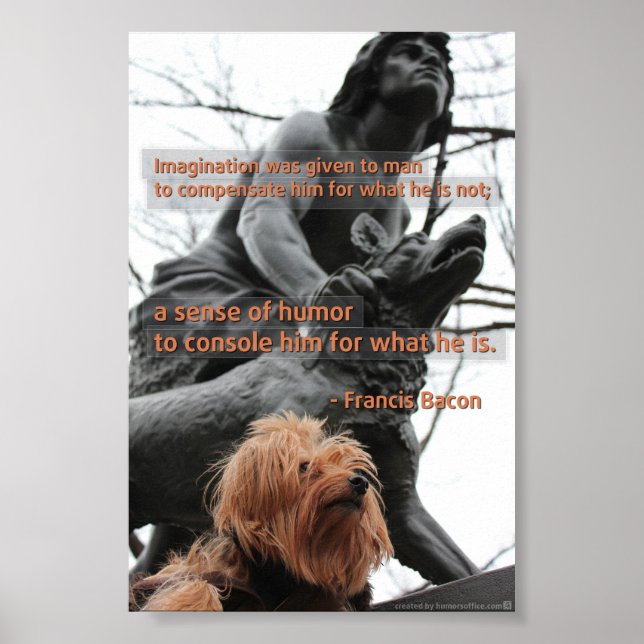 Poster de l'imagination et de la citation d'Humour (Devant)