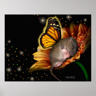 Poster de Little Daisy Dreamer