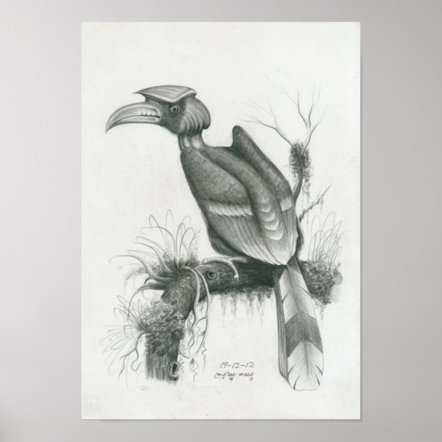 Poster de l'Oiseau de Hornbill cambodgien par Vann (Devant)