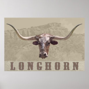 Poster de Longhorn Country -60x40 -autres tailles