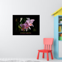 Poster de l'orchidée de Cattleya