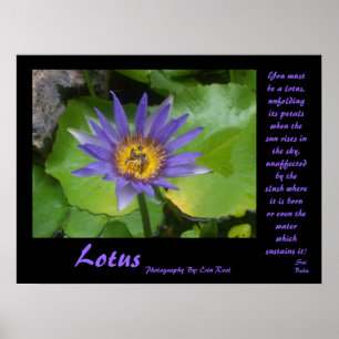 Poster de Lotus avec citations de Sai Baba