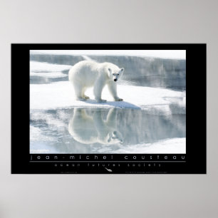 Poster de l'ours polaire