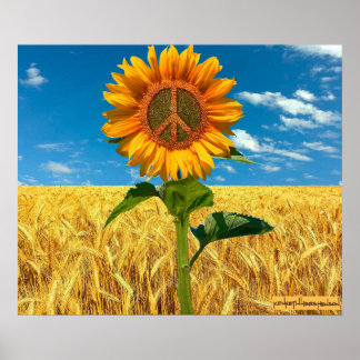 Poster De L'Ukraine