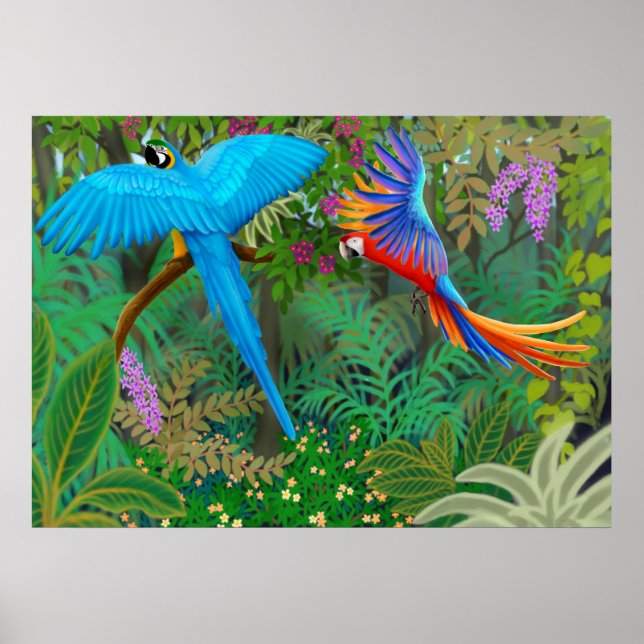 Poster de Macaw Jungle (Devant)