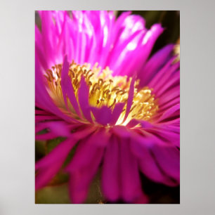 Poster de macro de fleurs de la nature rapprochée