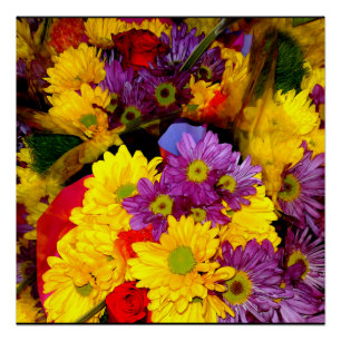 Poster de mélange de fleur marguerite multicolore